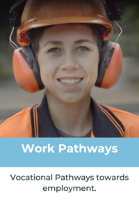 Work Pathways (12)